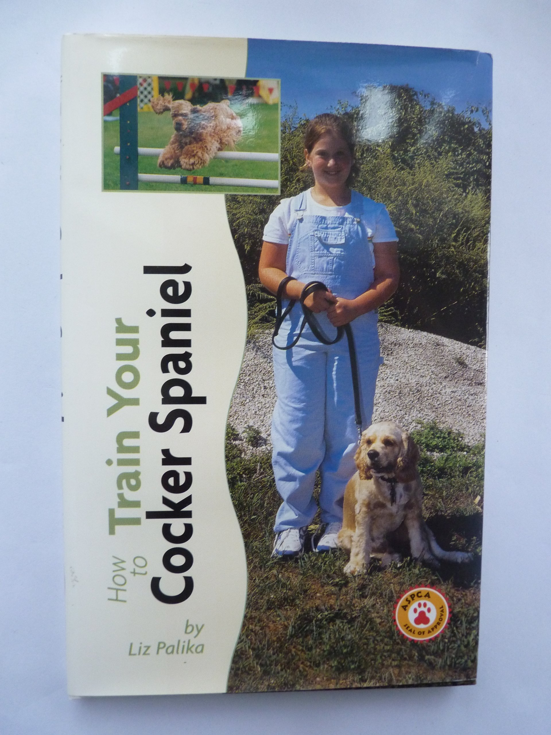 How to Train Your Cocker Spaniel