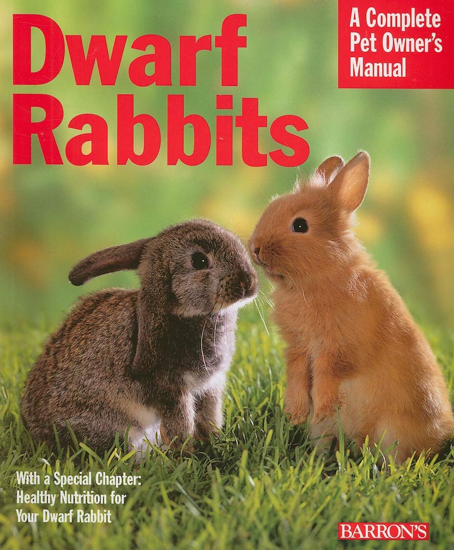 Dwarf Rabbits