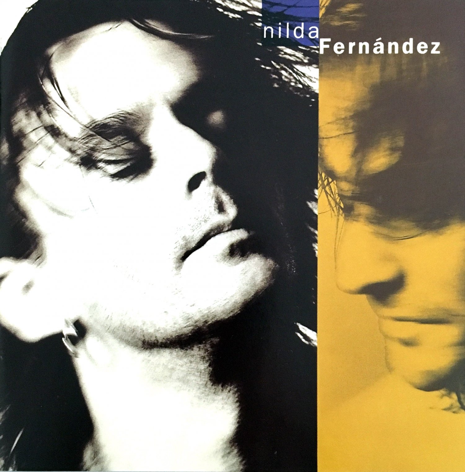 Nilda Fernandez