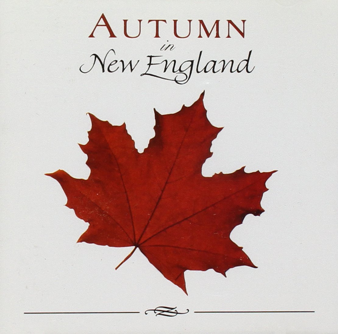 Autumn in New England