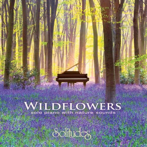 Wildflowers