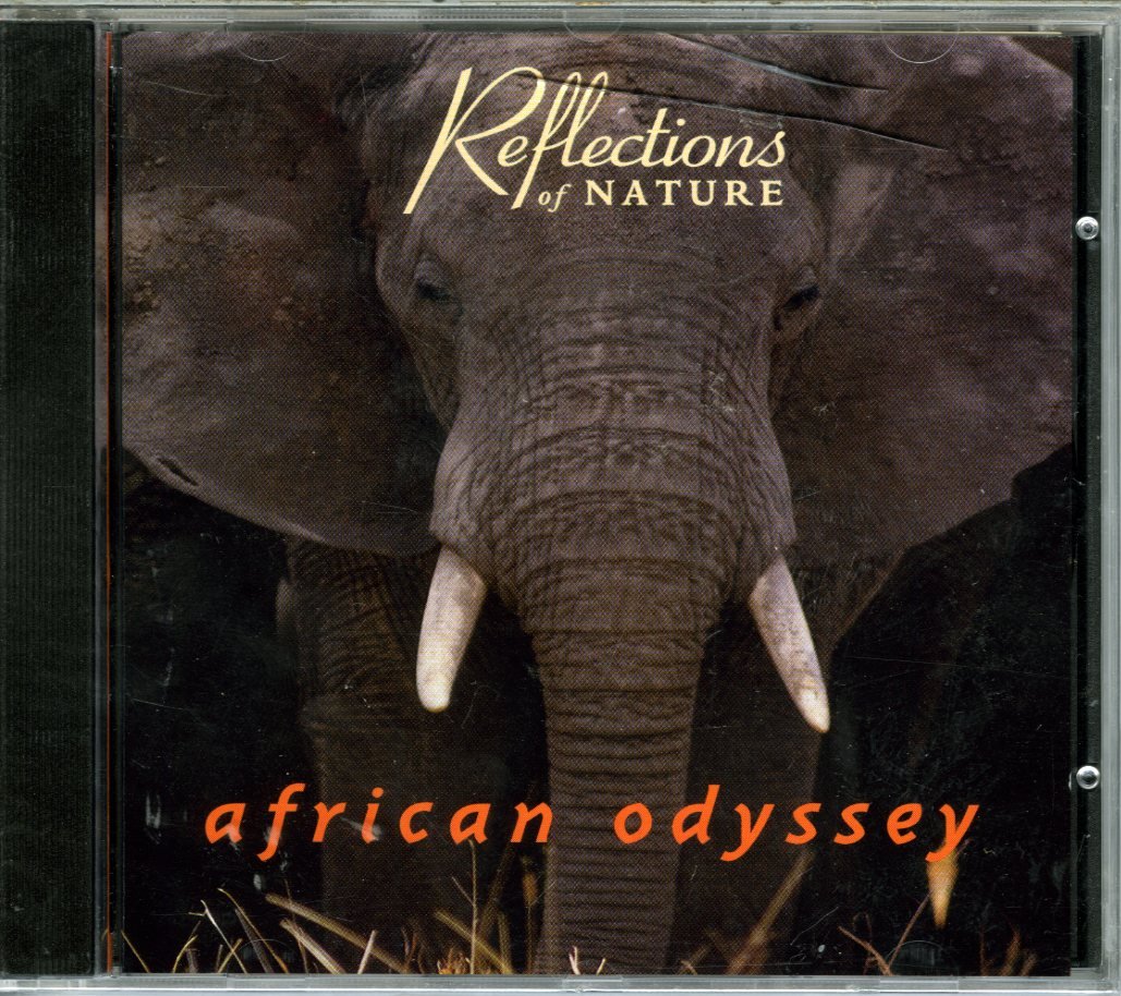 African Odyssey