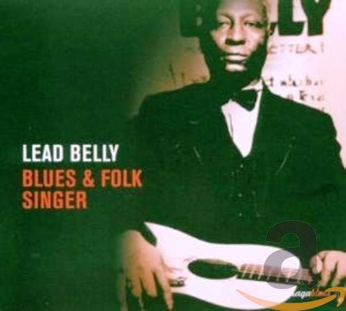 Blues And Folk Singer
