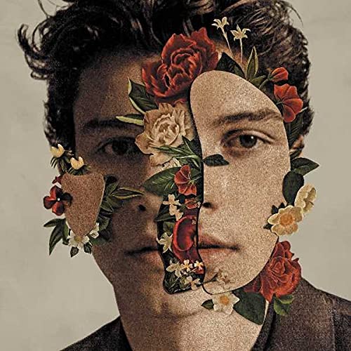 Shawn Mendes