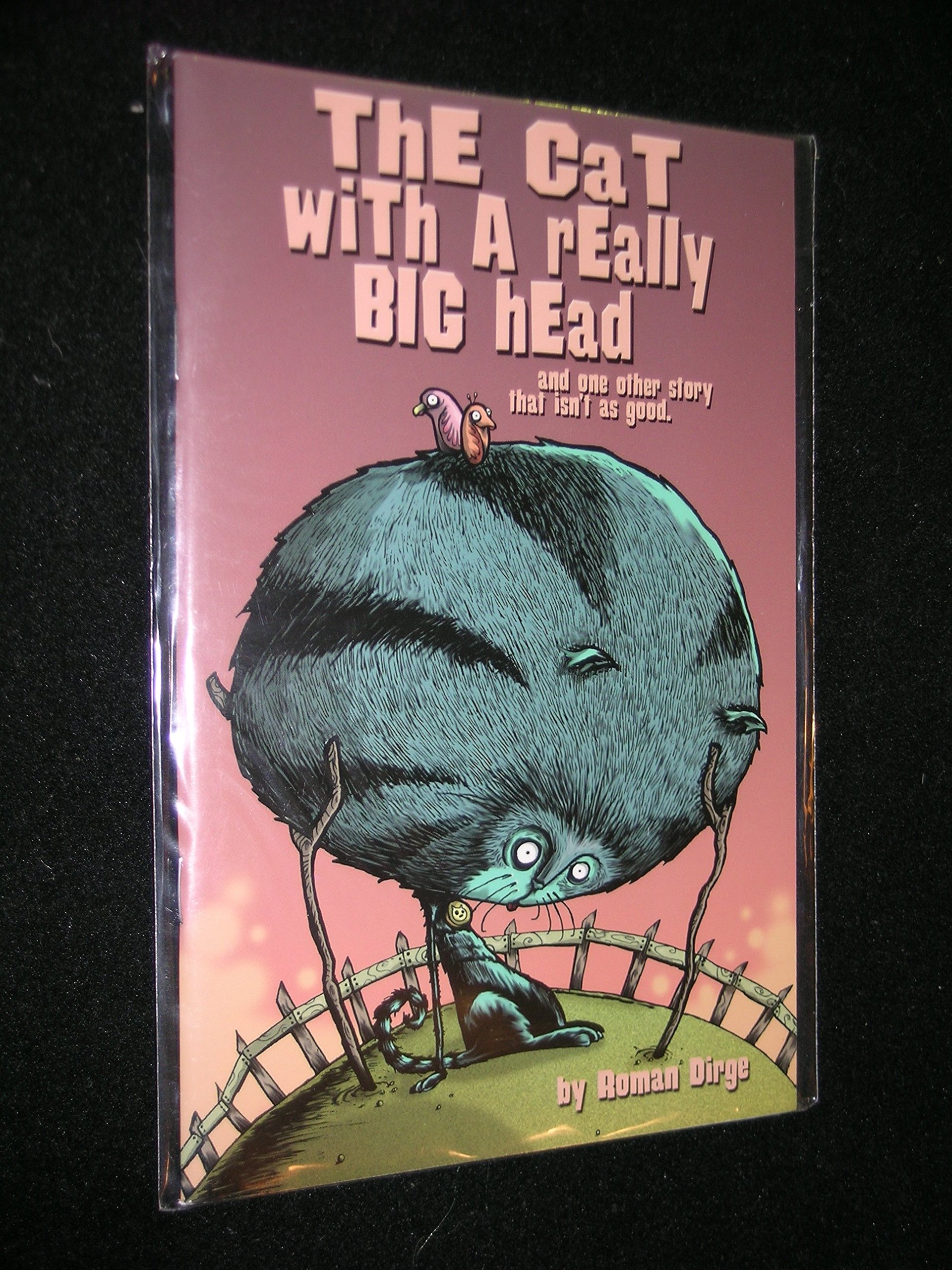 Cat With Really Big Head One Other Story That Isn't As Good