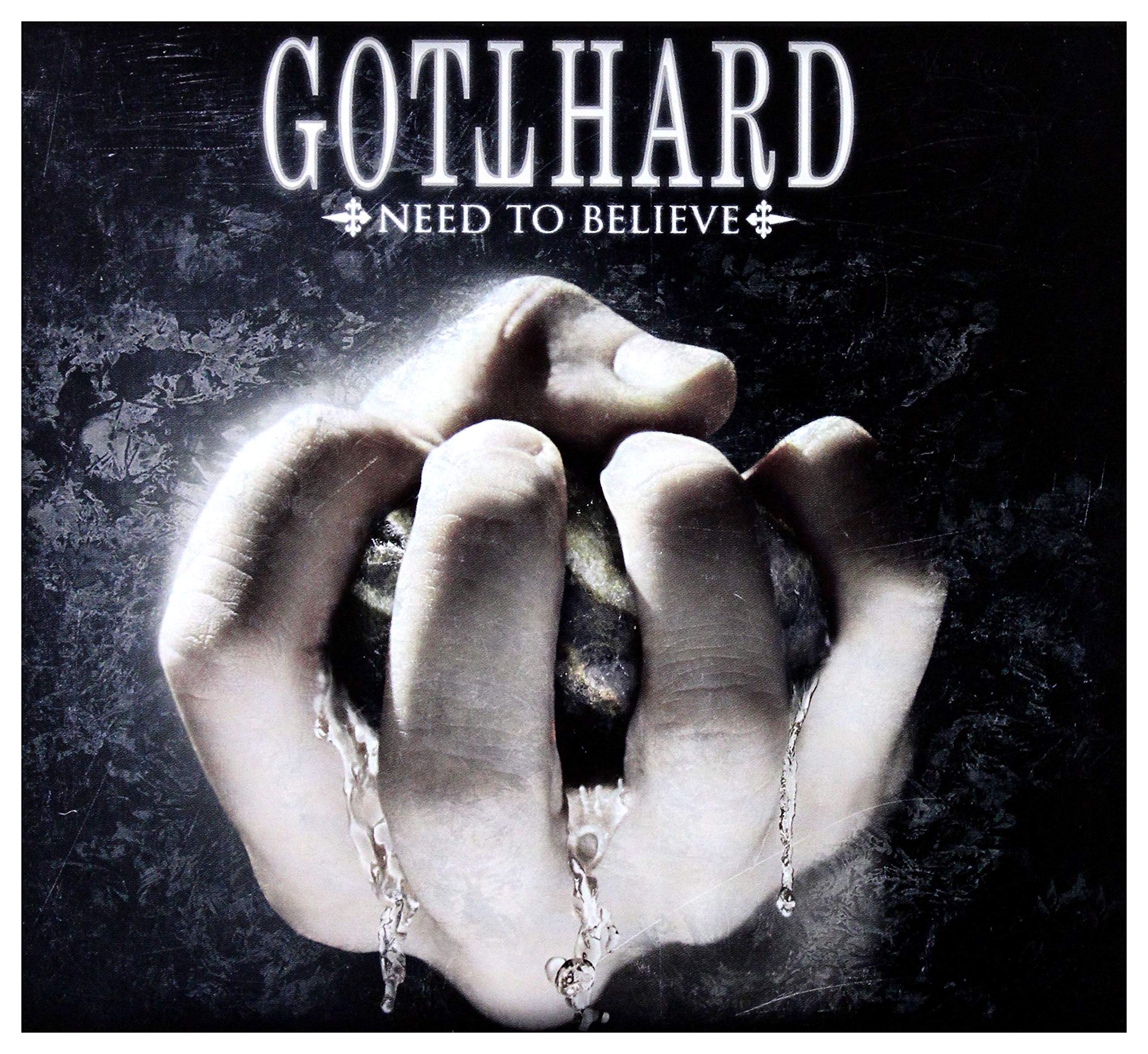 Need to Believe -deluxe-