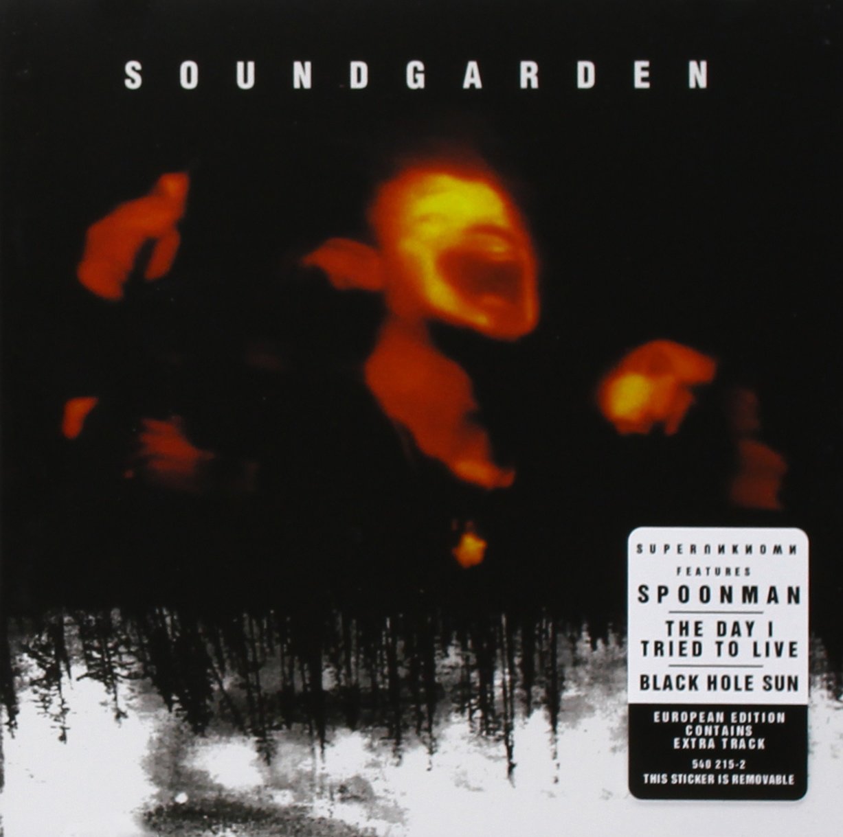 Superunknown