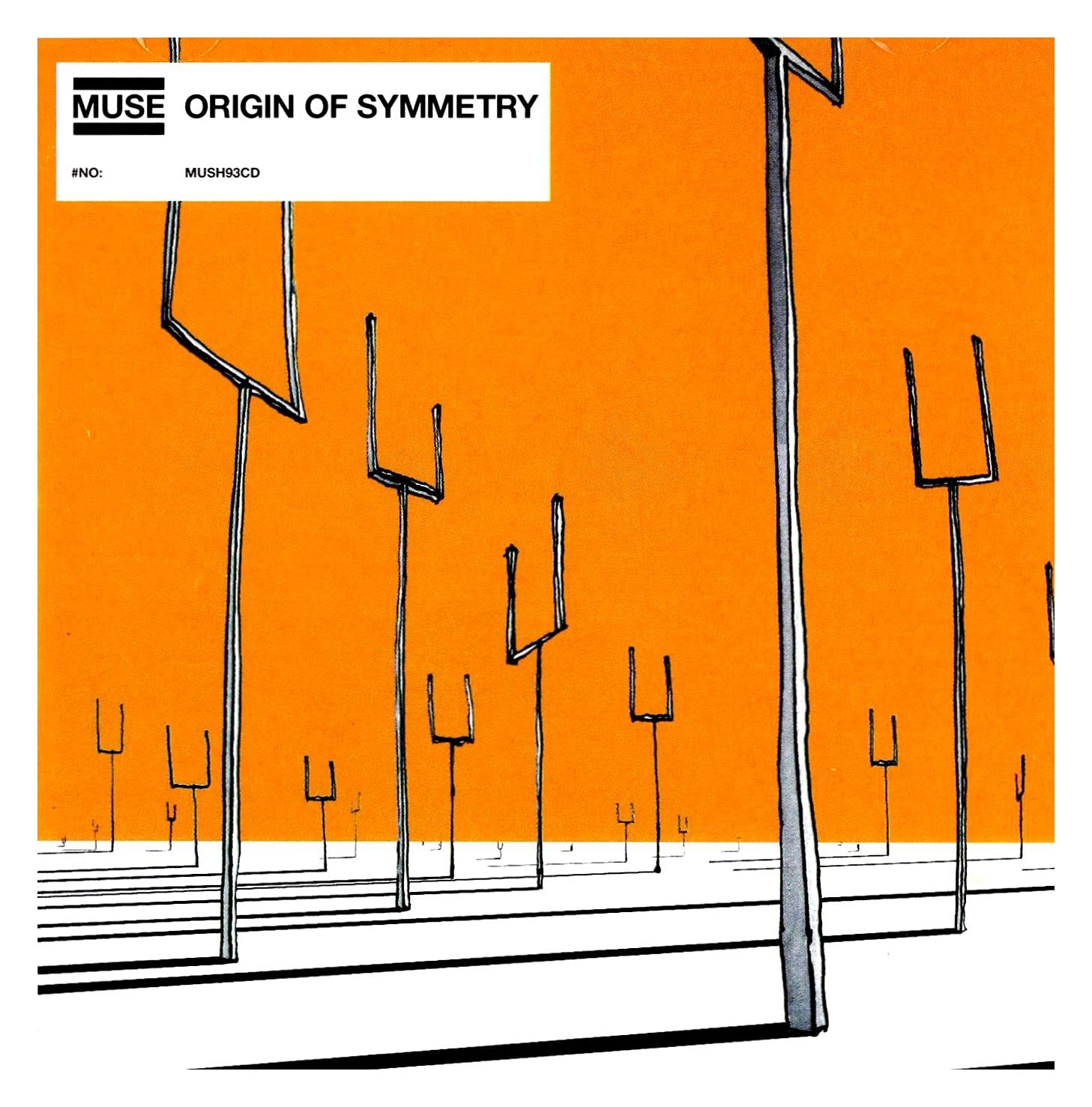 Origin of Symmetry