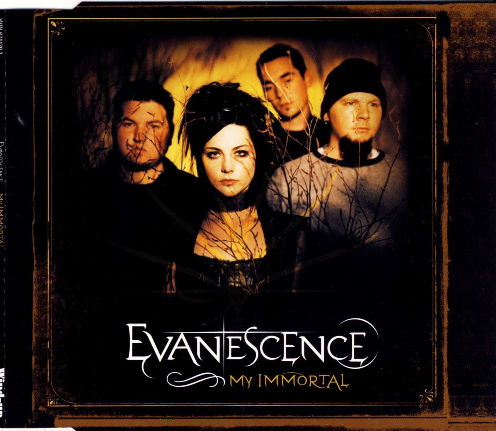 My Immortal