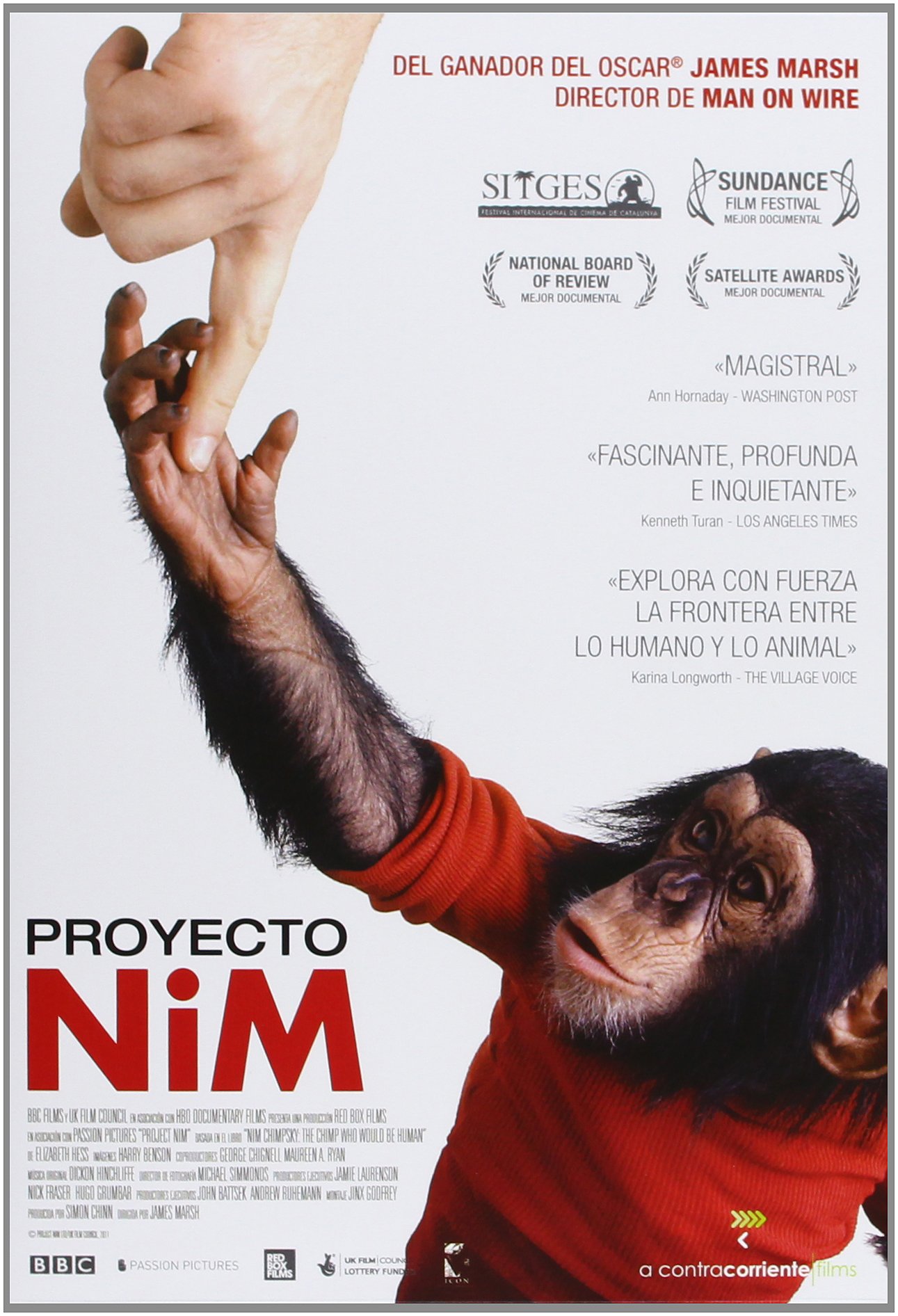 Proyecto Nim
