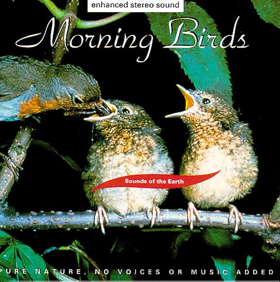 Morning Birds