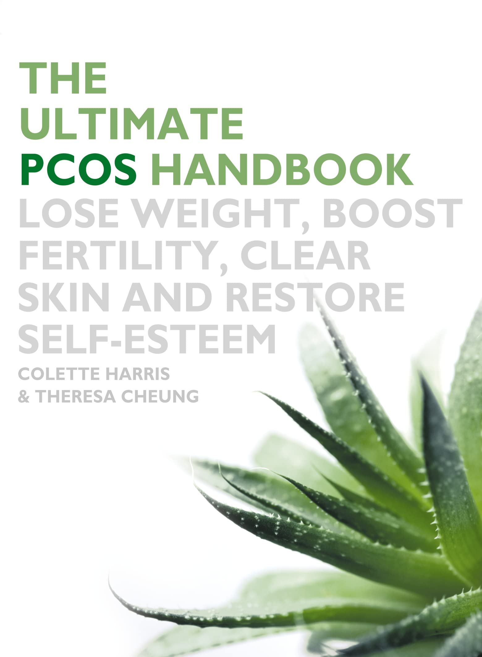 The Ultimate Pcos Handbook: Lose Weight, Boost Fertility, Clear Skin And Restore Self-esteem