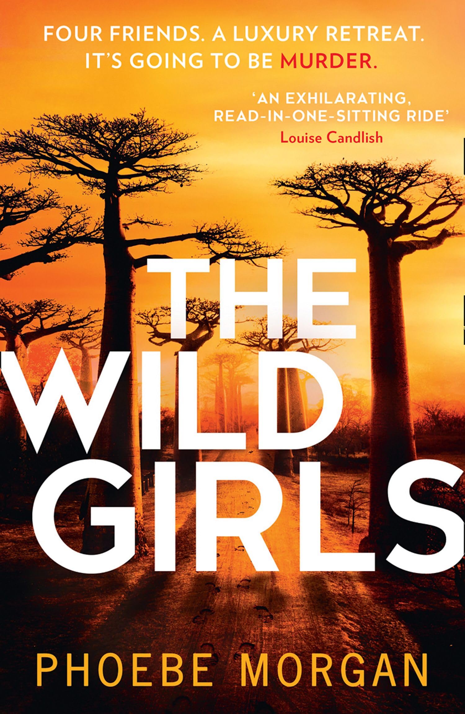 The Wild Girls: The Exhilarating And Escapist Psychological Crime Thriller from The Author of Gripping Books like The Babysitter!