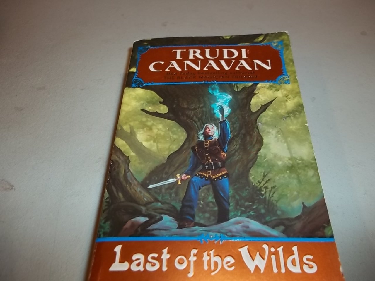 Last of The Wilds: Age of The Five Trilogy Book 2