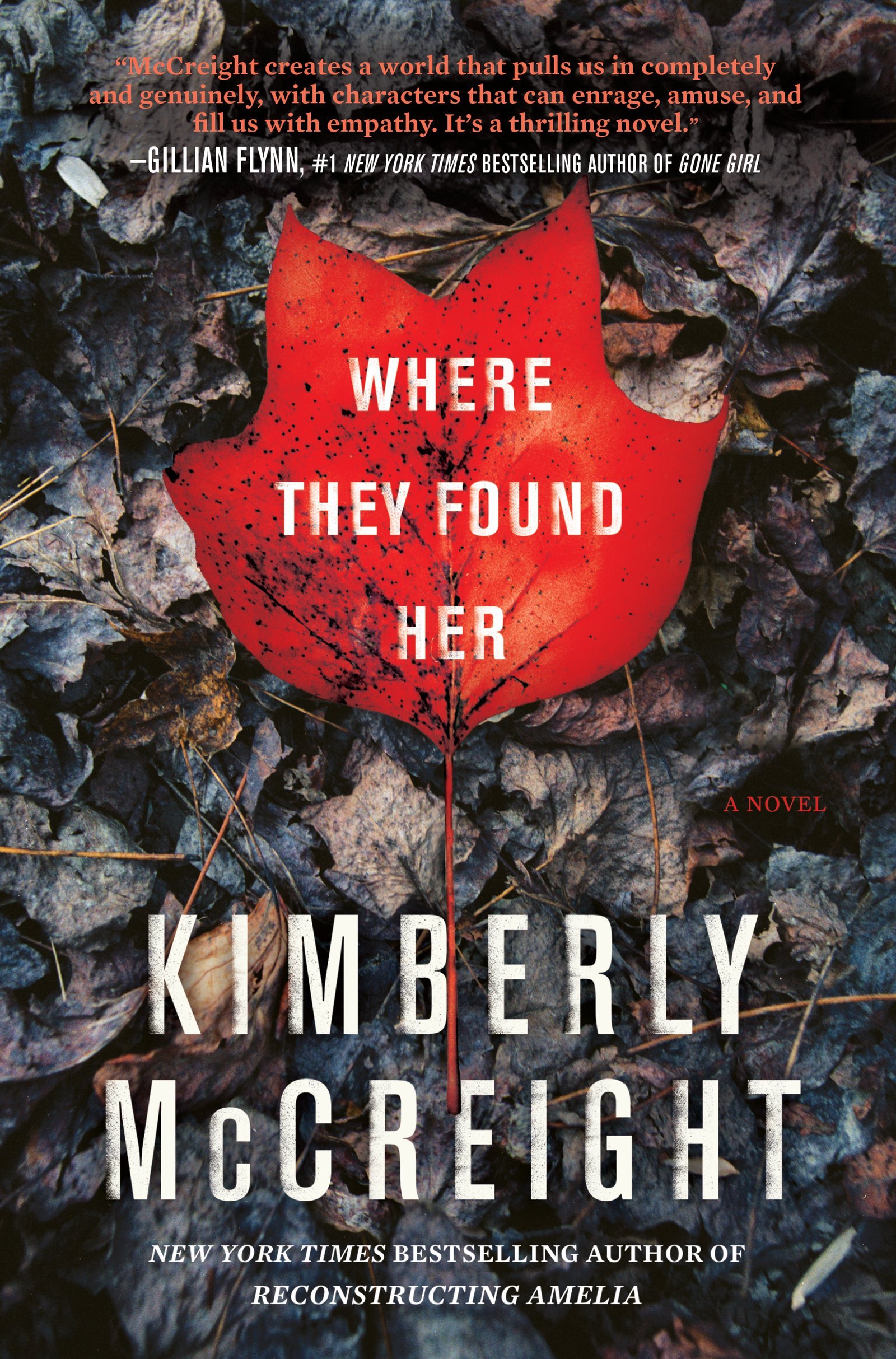 Where They Found Her: a Novel