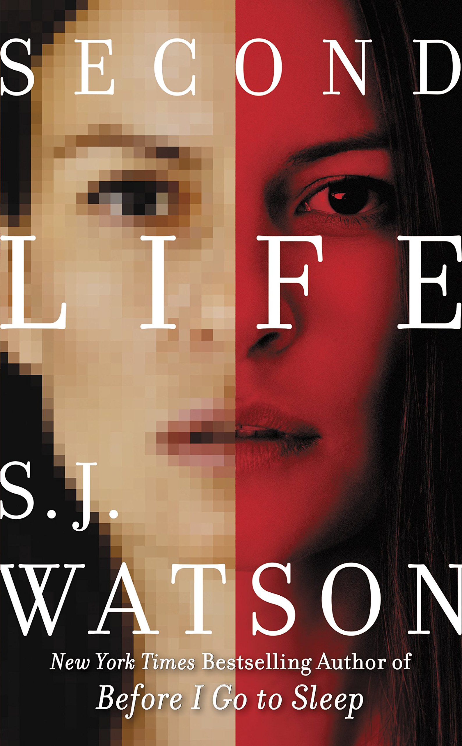 Second Life: a Novel