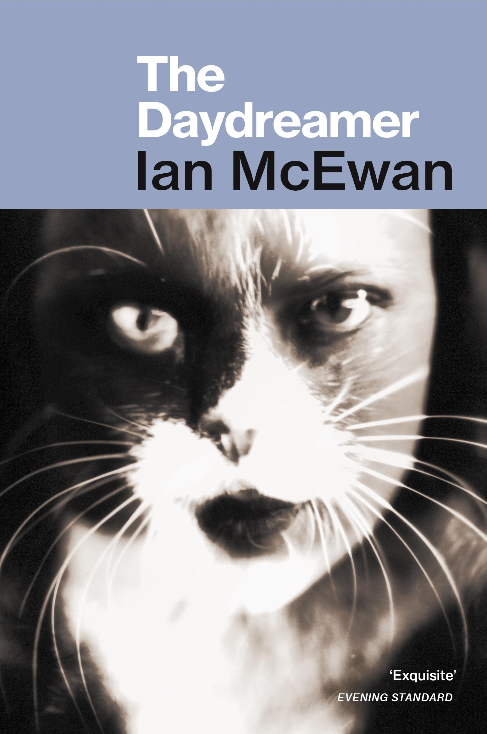 The Daydreamer: Ian Mcewan