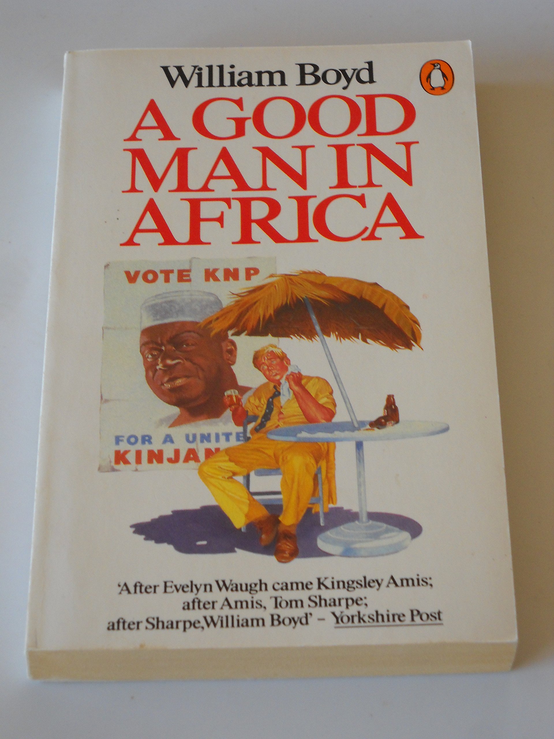 A Good Man in Africa