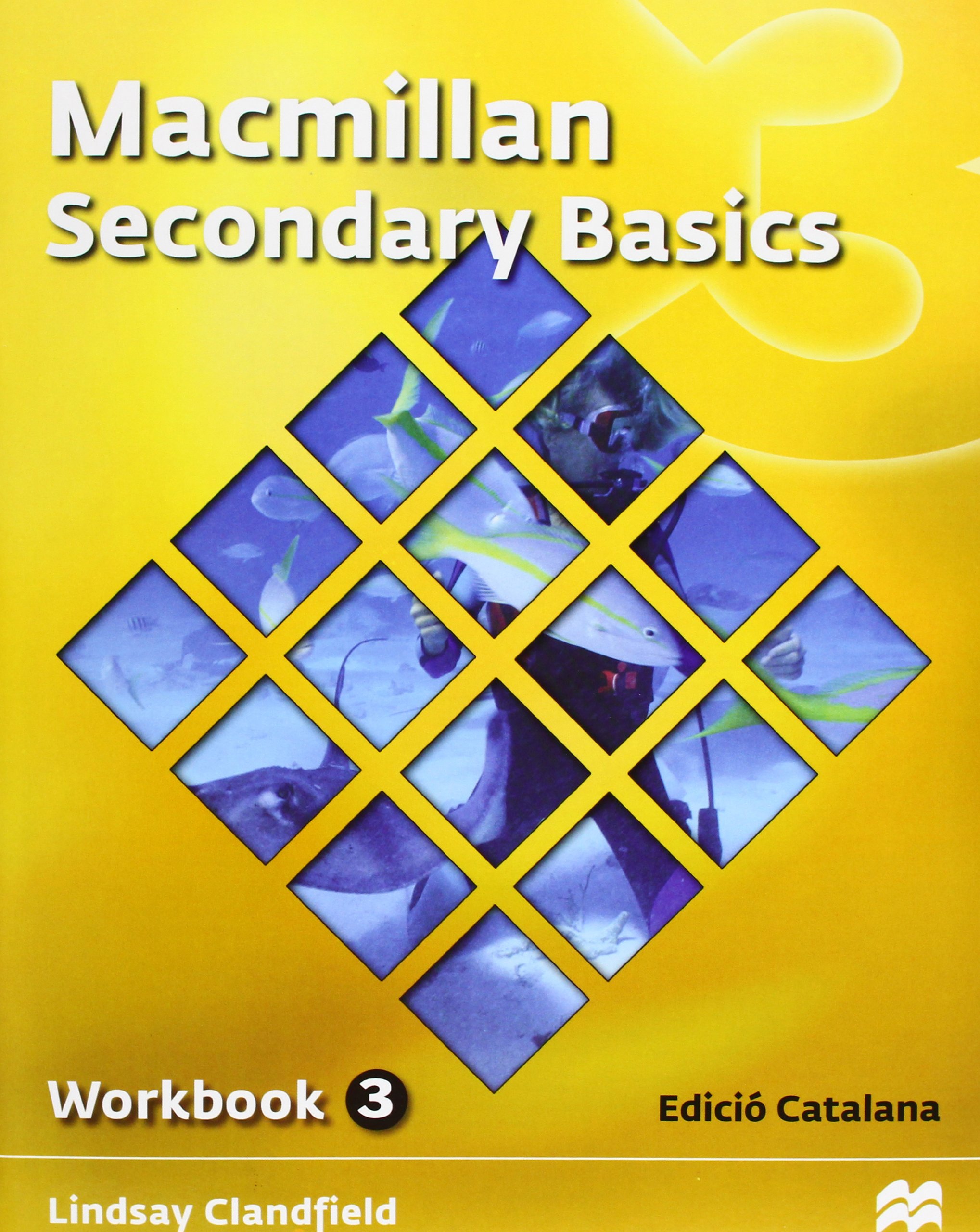 Macmillan Secondary Basics 3 Workbook