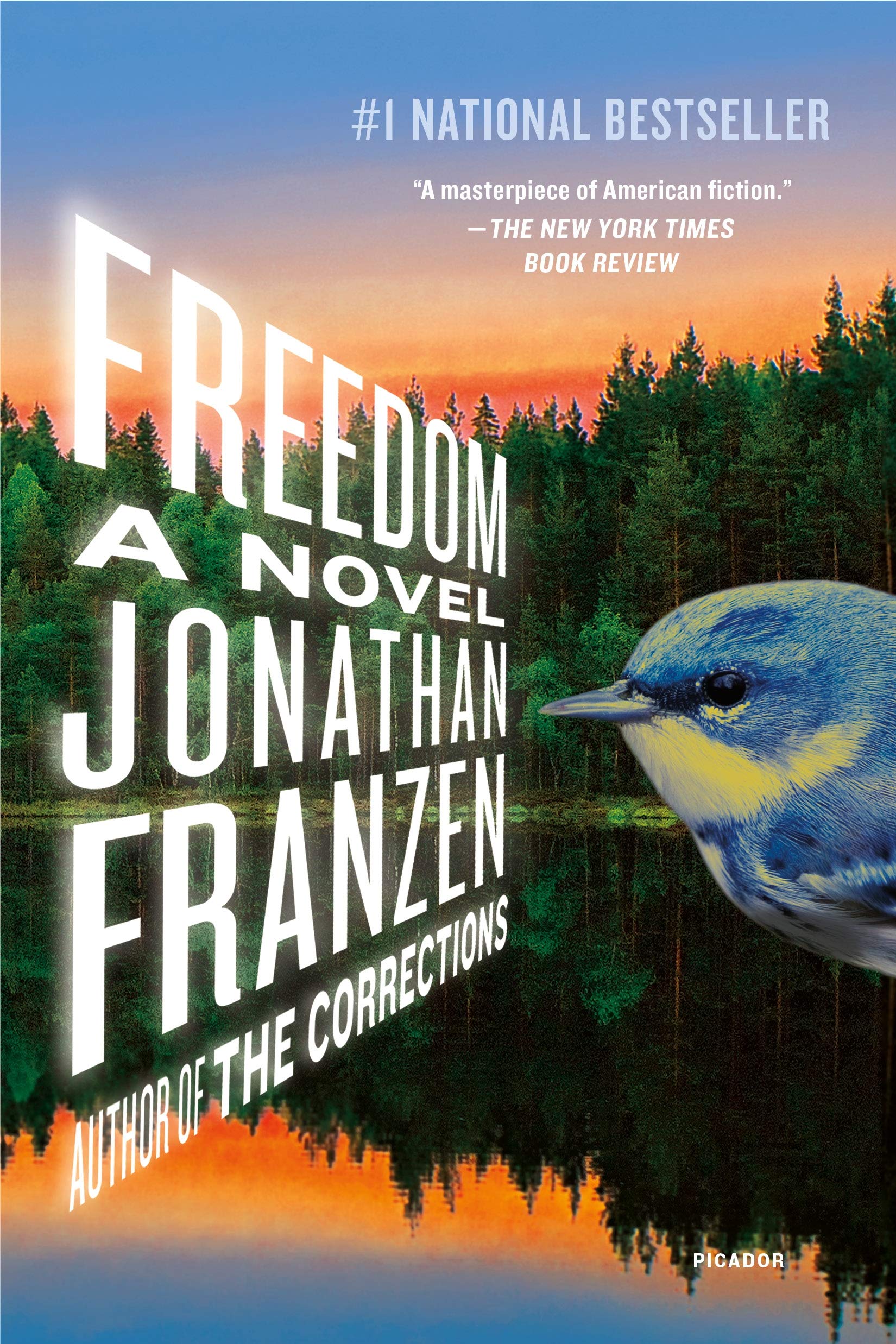 Freedom: a Novel