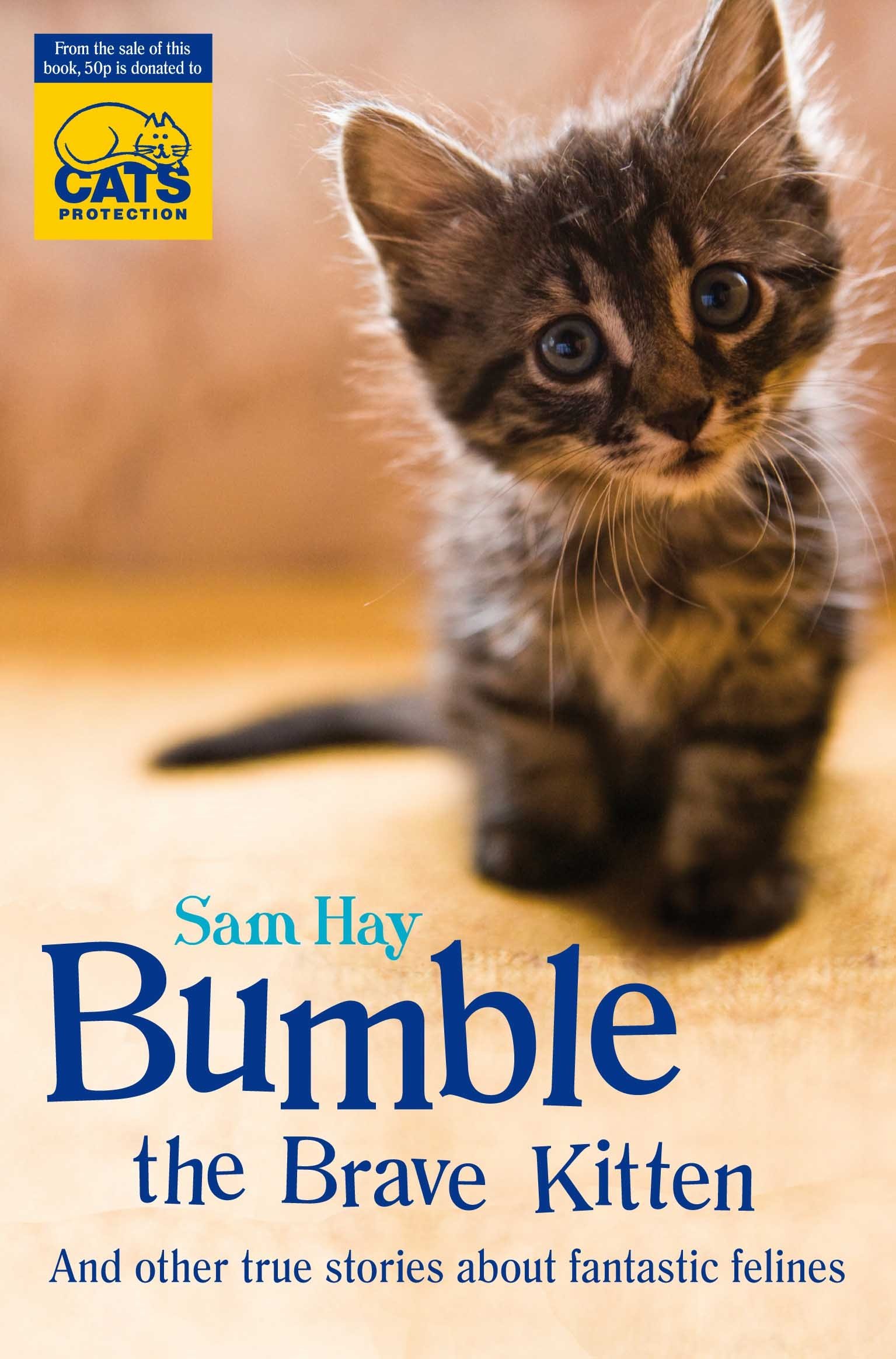 Bumble The Brave Kitten: in Association with Cats Protection