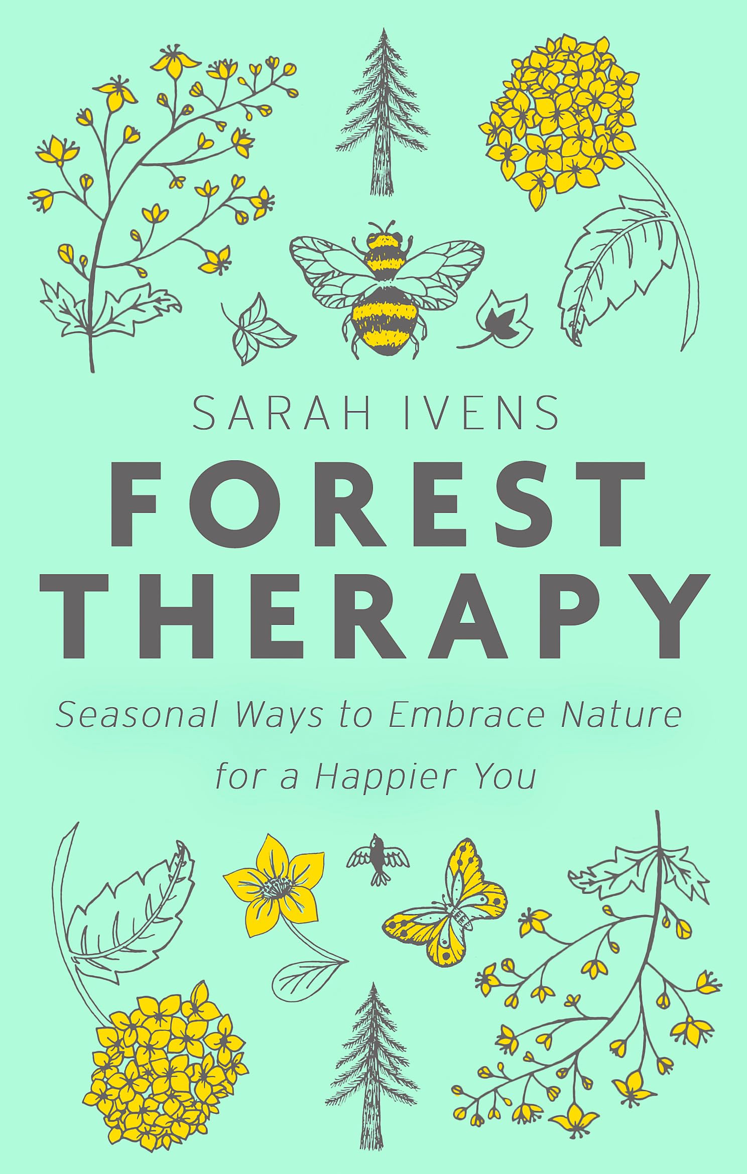 Forest Therapy: Seasonal Ways to Embrace Nature for a Happier You