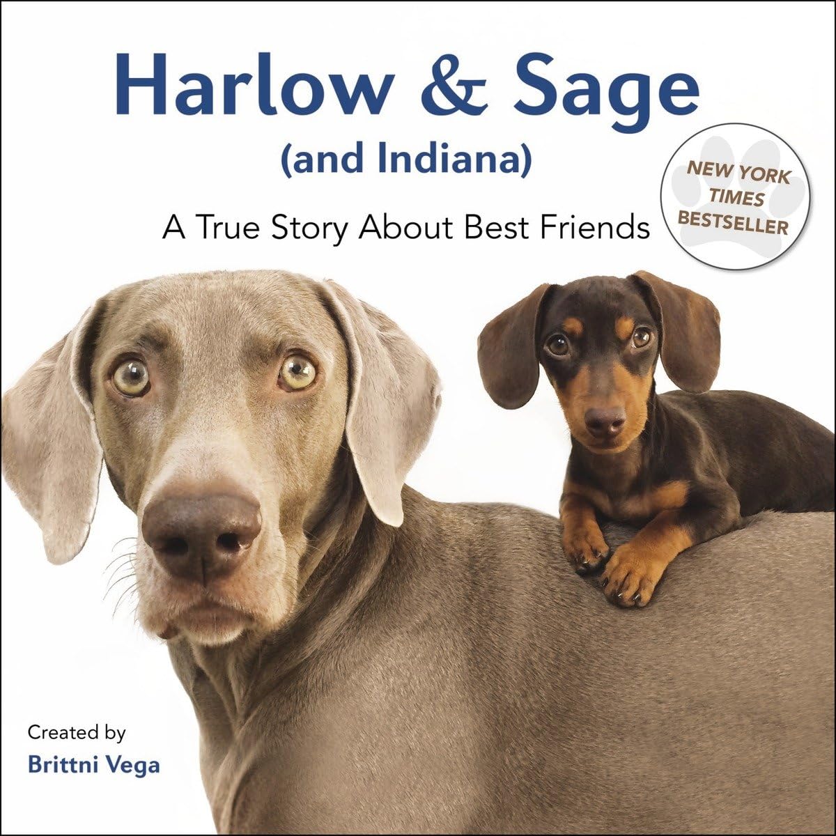 Harlow & Sage : a True Story about Best Friends