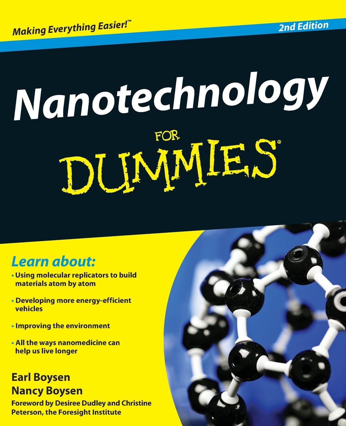 Nanotechnology for Dummies