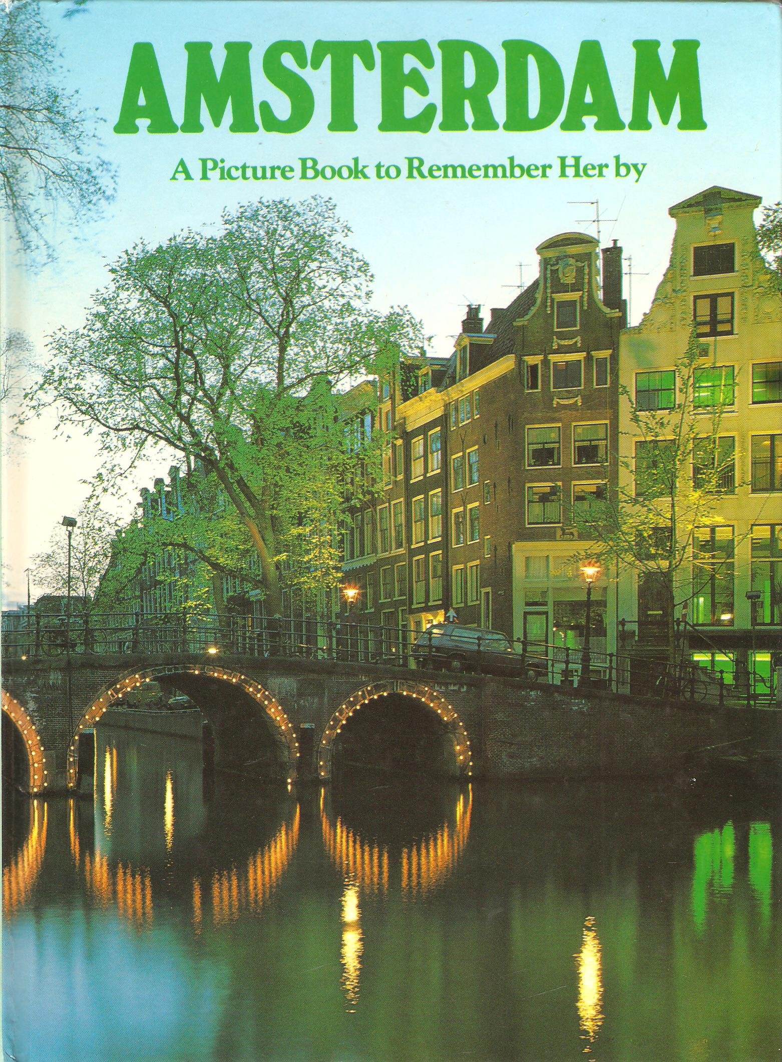 Amsterdam: A Picture Book to Remember Her By