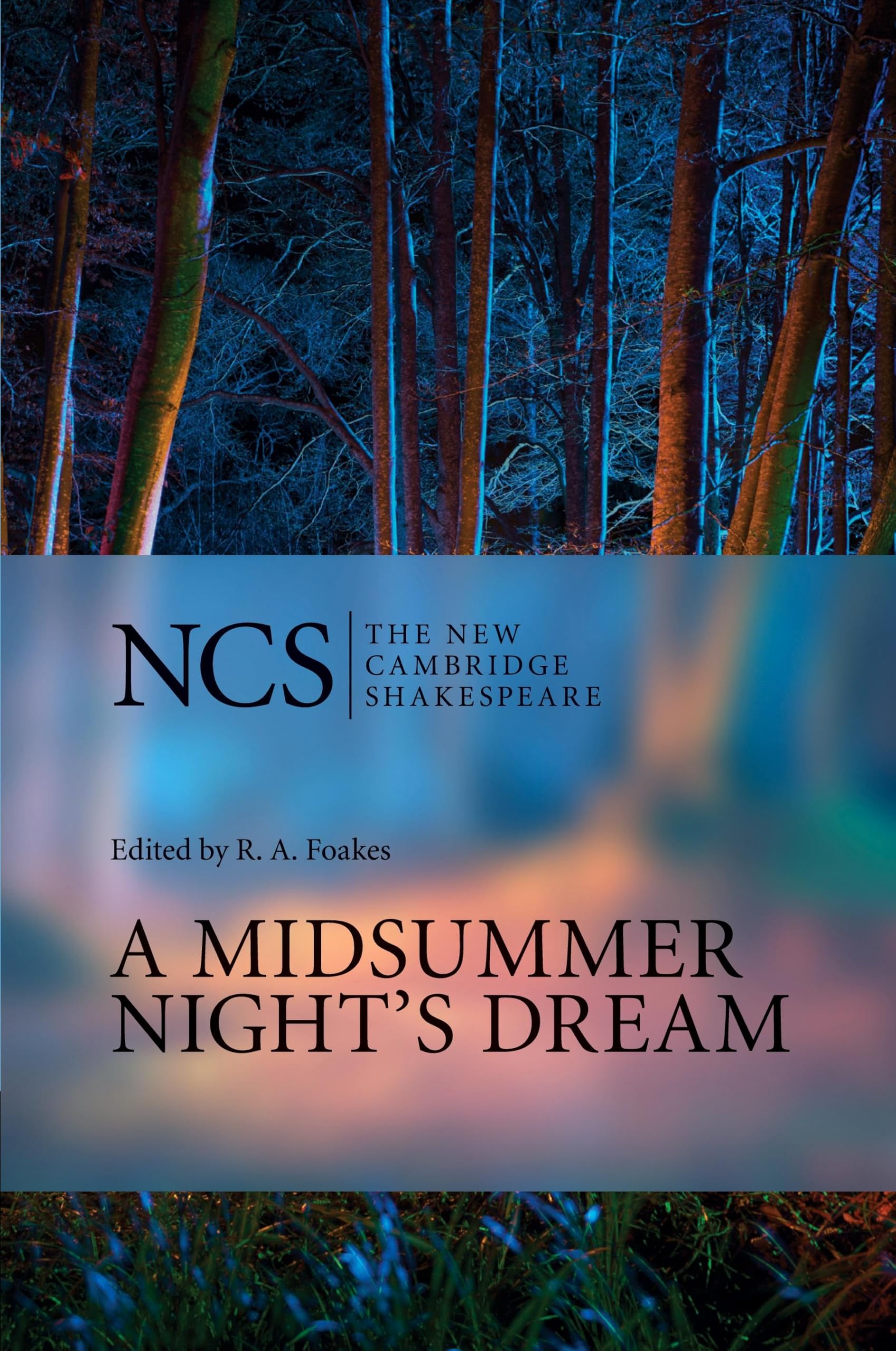 A Midsummer Night's Dream: Midsummer Night Dream 2ed