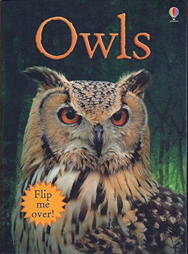 Owls / Wolves Flip Me Over