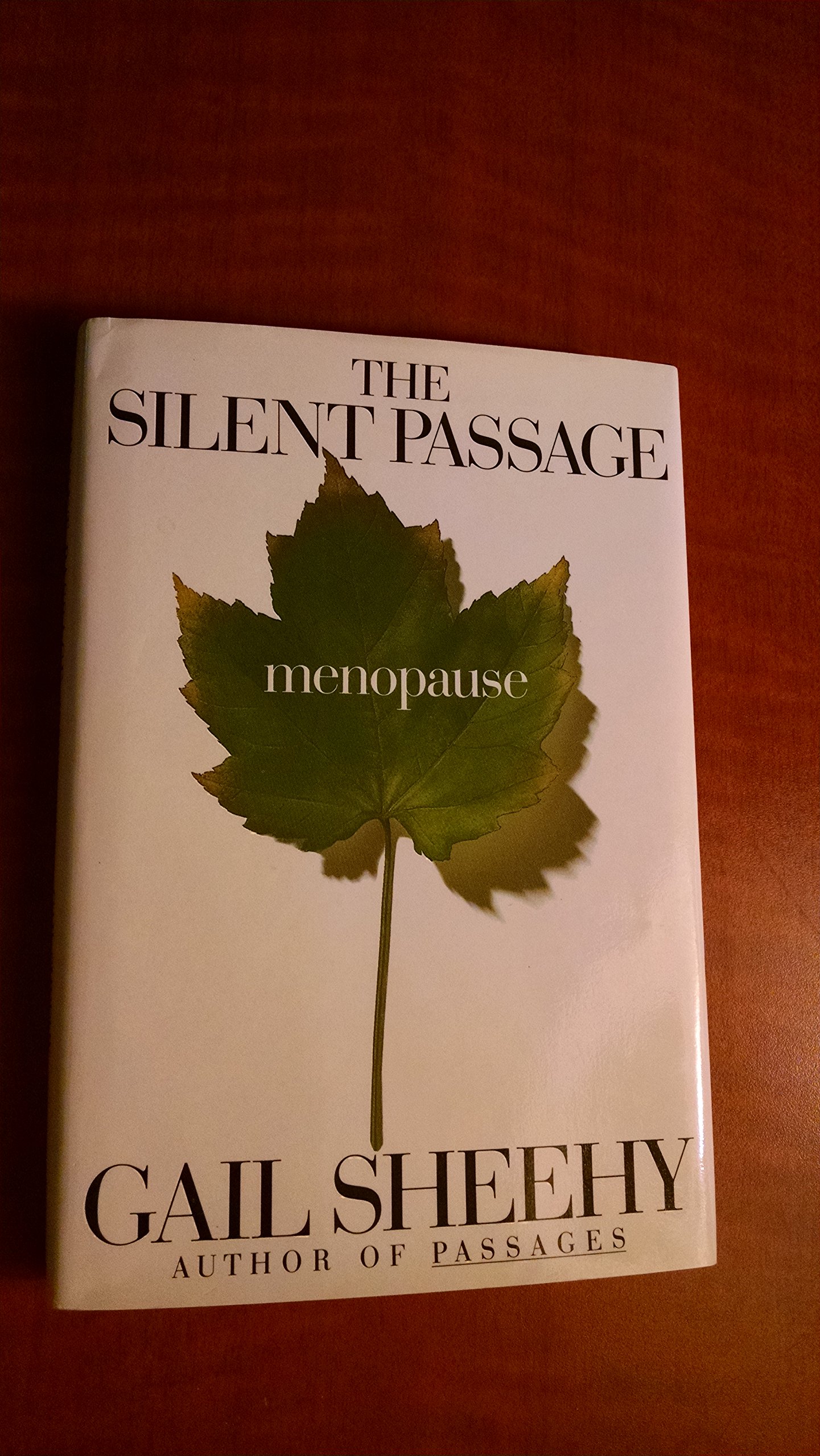 The Silent Passage