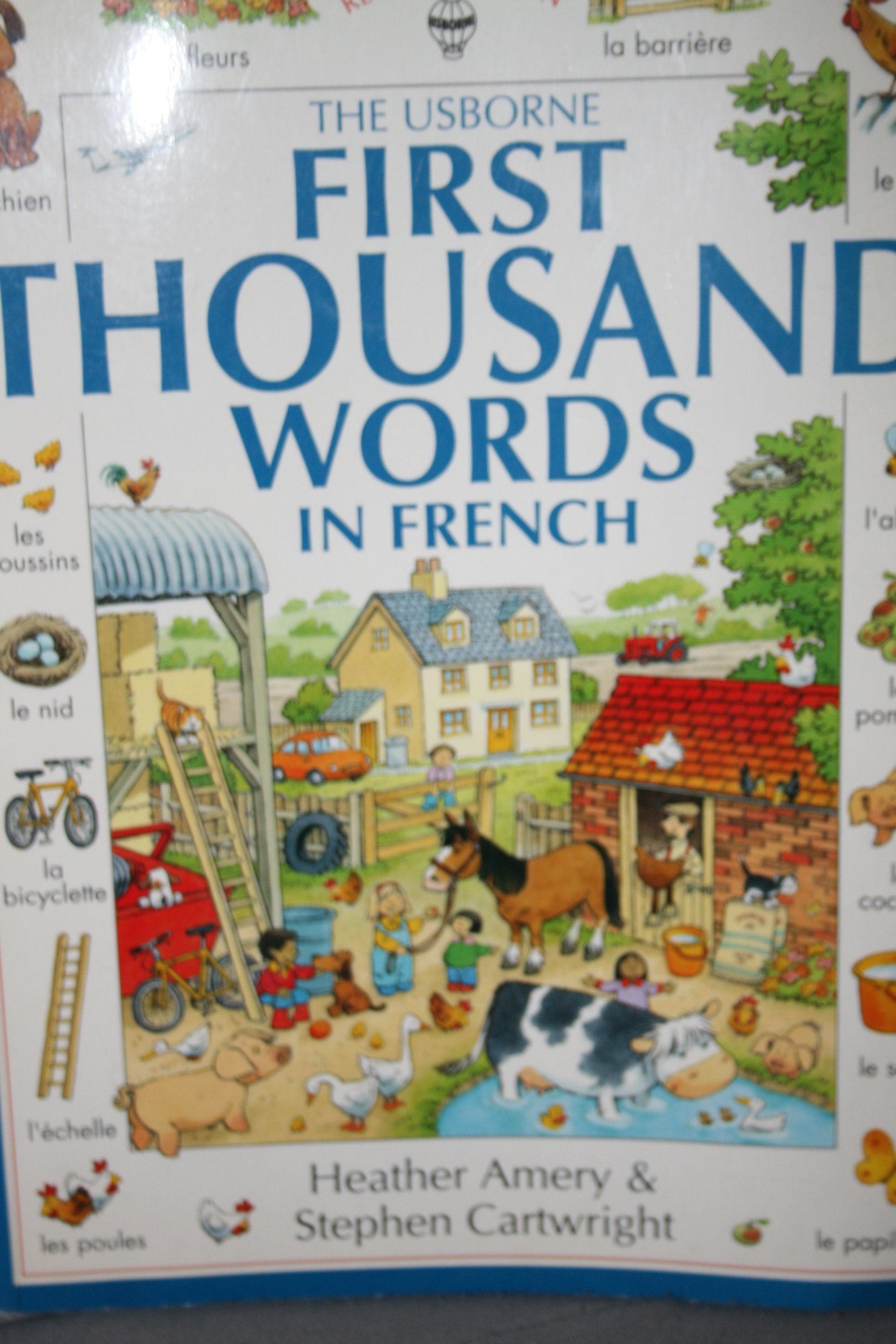 The Usborne First Thousand Words in French