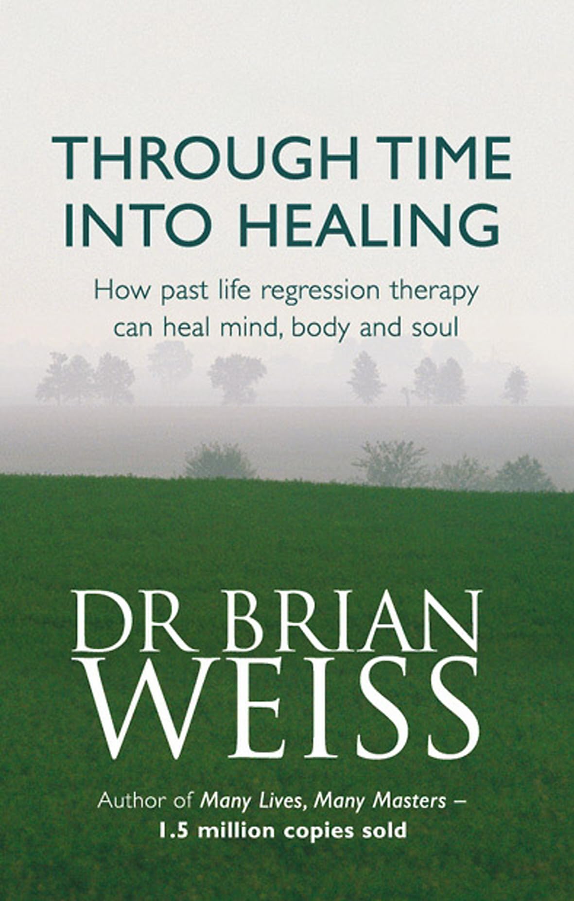 Through Time into Healing : How past Life Regression Therapy Can Heal Mind, Body And Soul