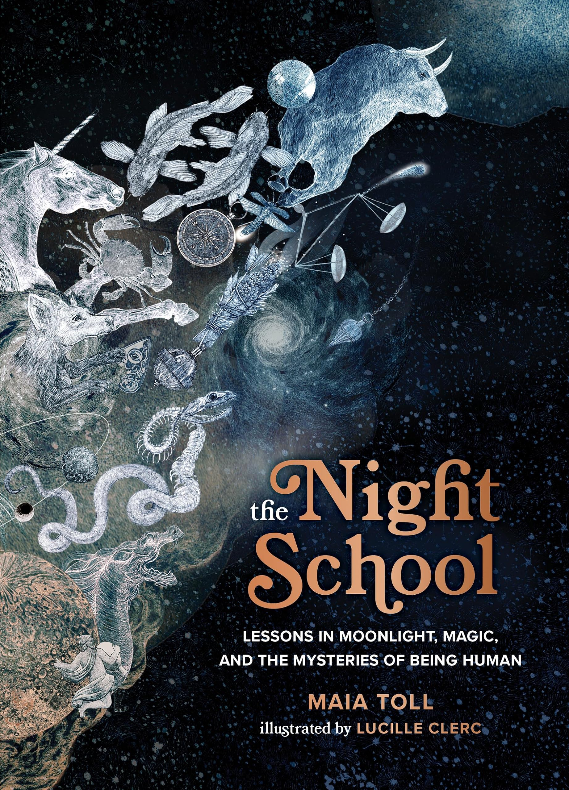 The Night School: Lessons in Moonlight, Magic, And The Mysteries of Being Human