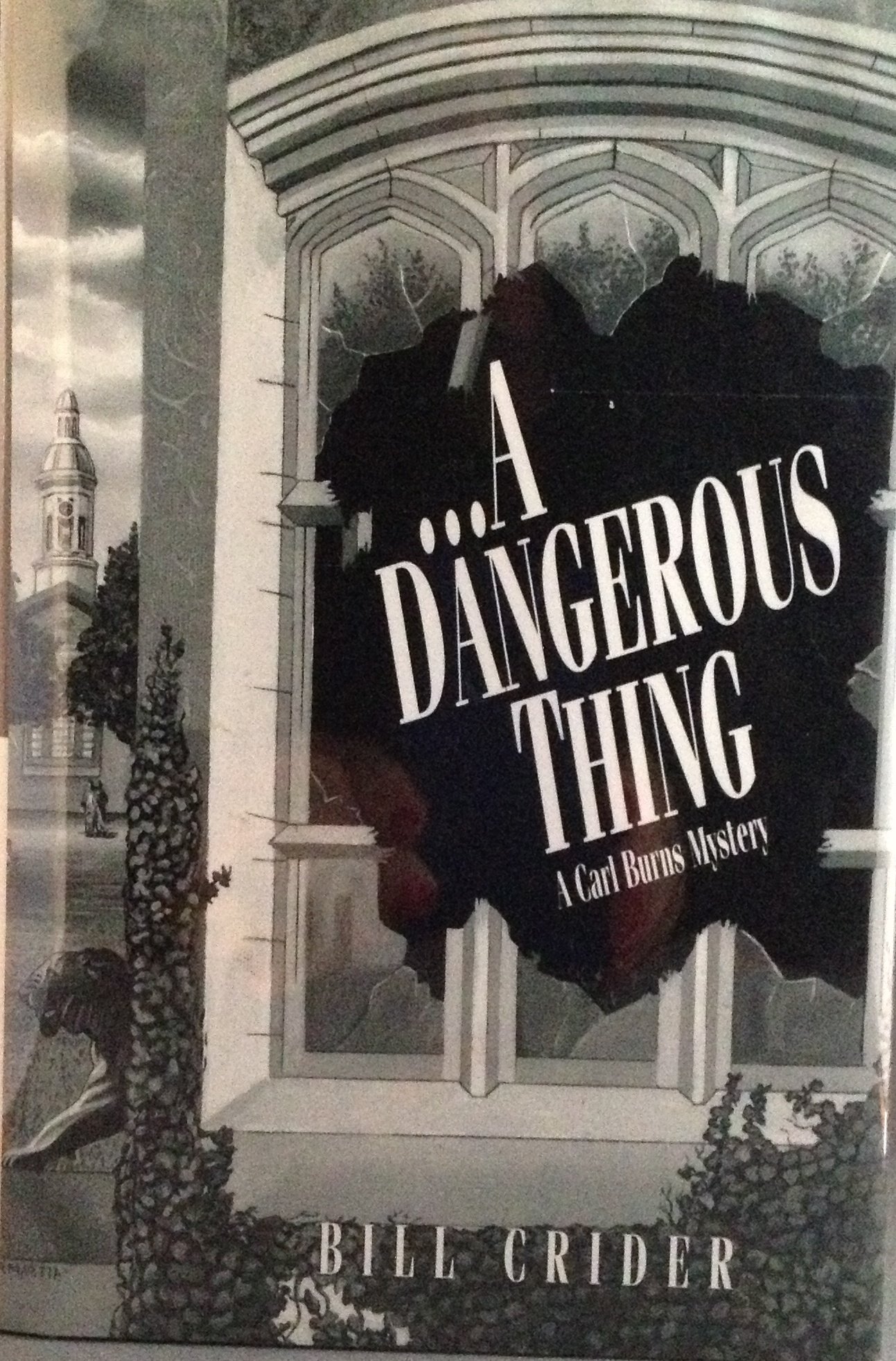 A Dangerous Thing: a Carl Burns Mystery