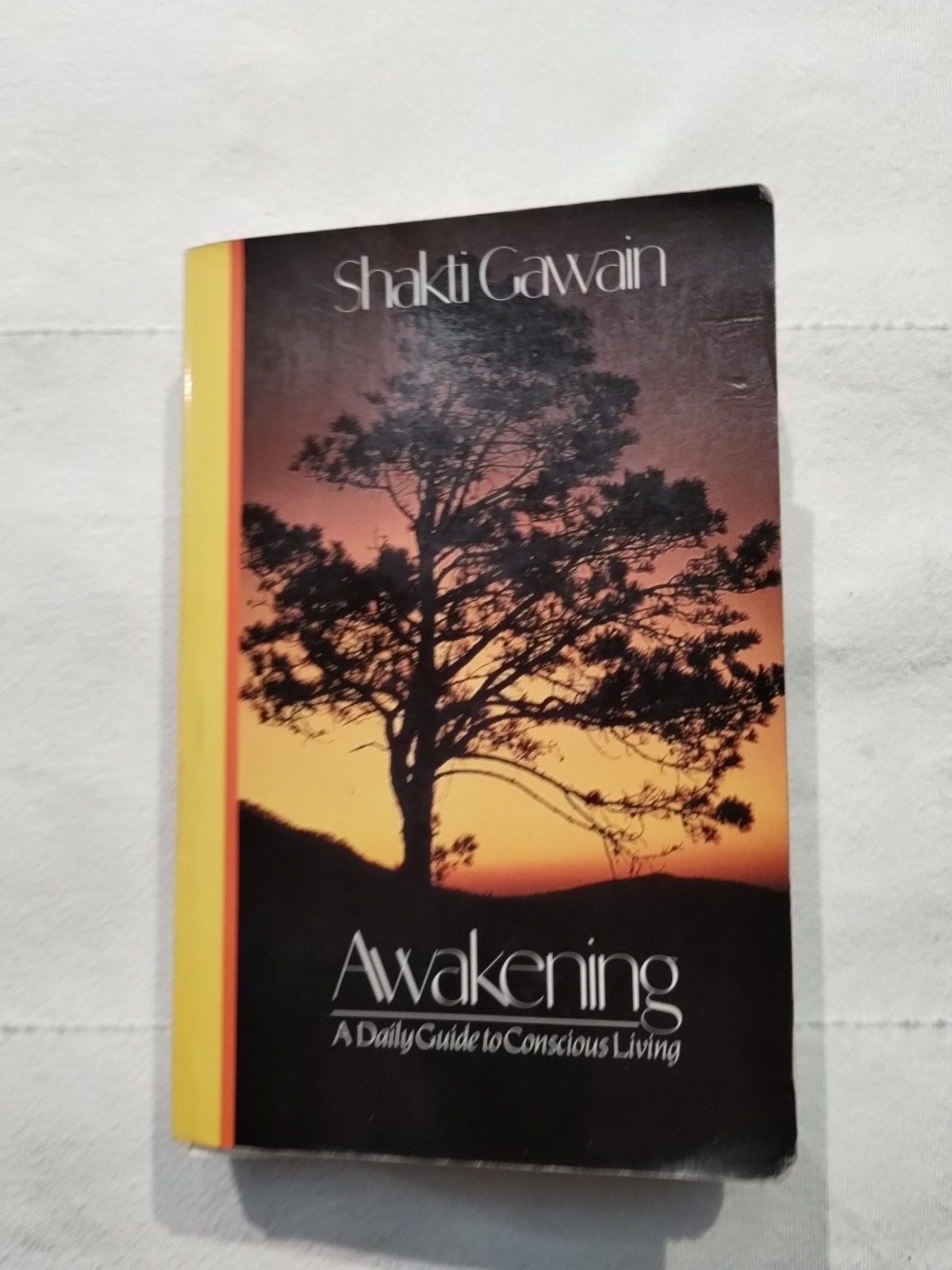 Awakening: A Daily Guide to Conscious Living