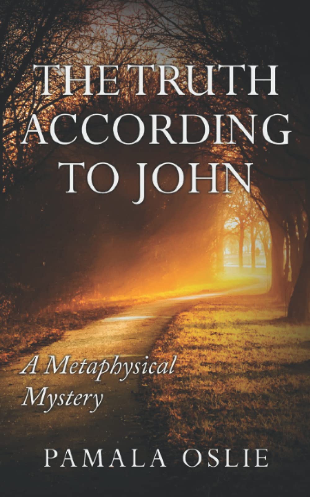 The Truth According to John: a Metaphysical Mystery of Revelation And Transformation