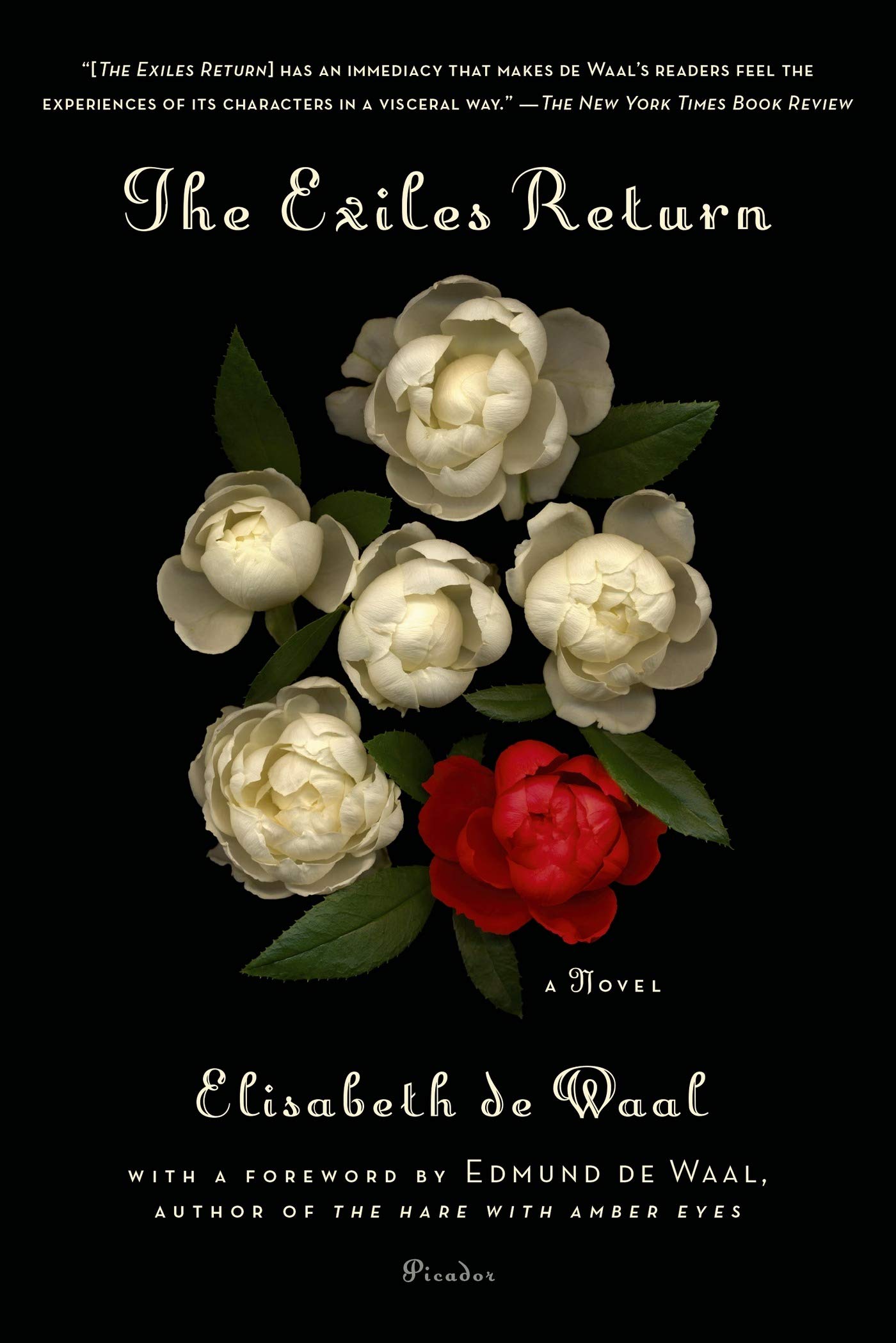 The Exiles Return: a Novel de Waal, Elisabeth And de Waal, Edmund