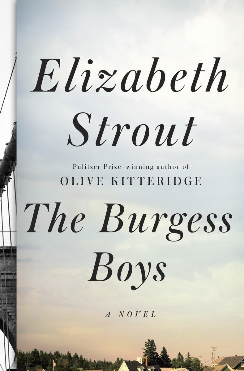 The Burgess Boys: a Novel