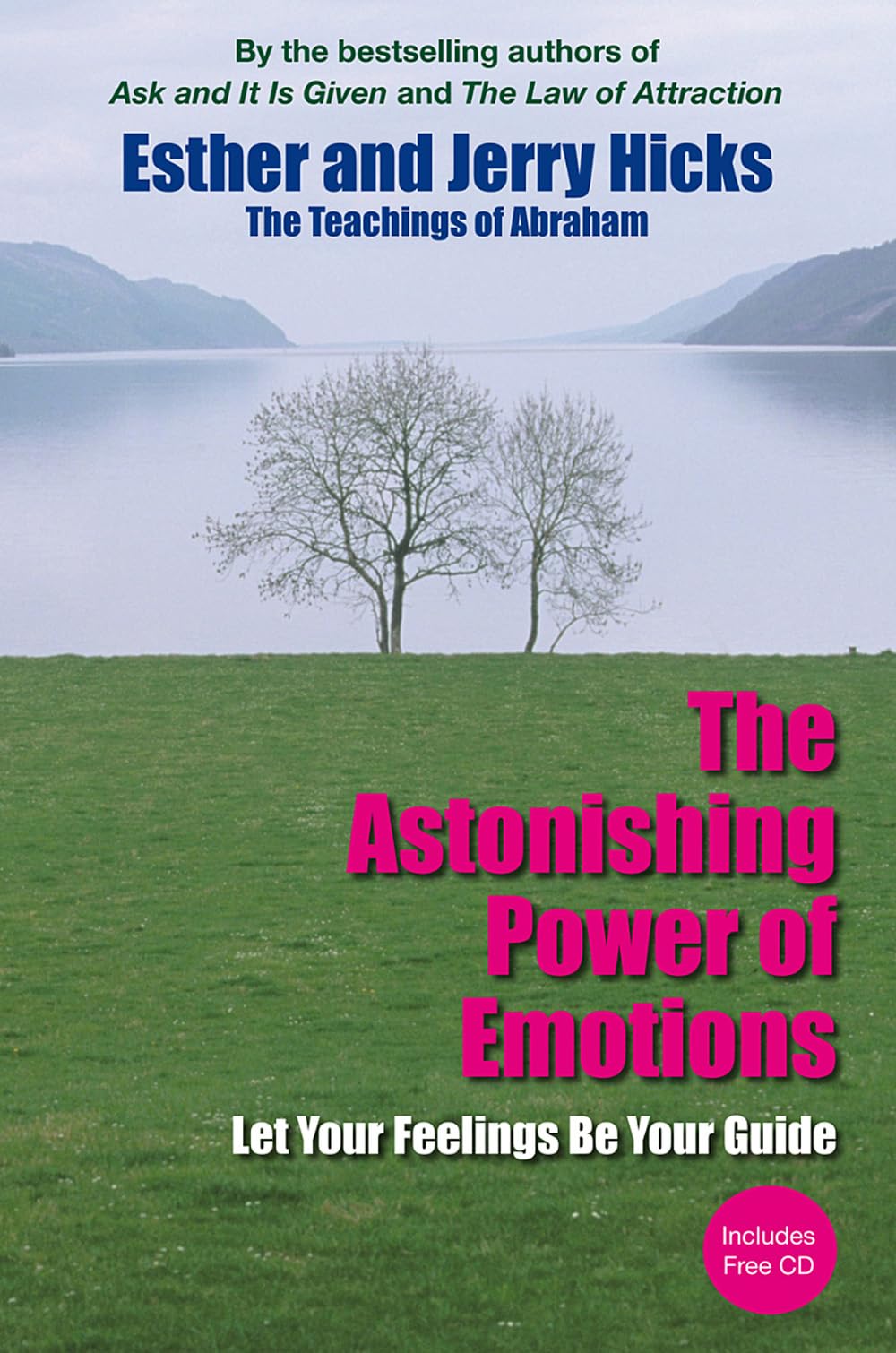 The Astonishing Power of Emotions: Let Your Feelings Be Your Guide