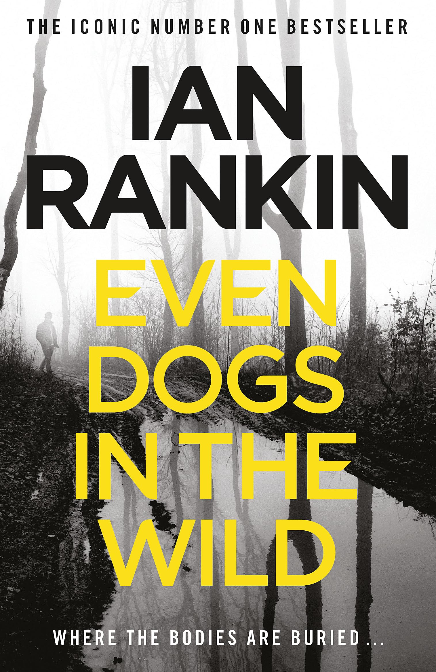 Even Dogs in The Wild: from The Iconic #1 Bestselling Author of a Song for The Dark Times