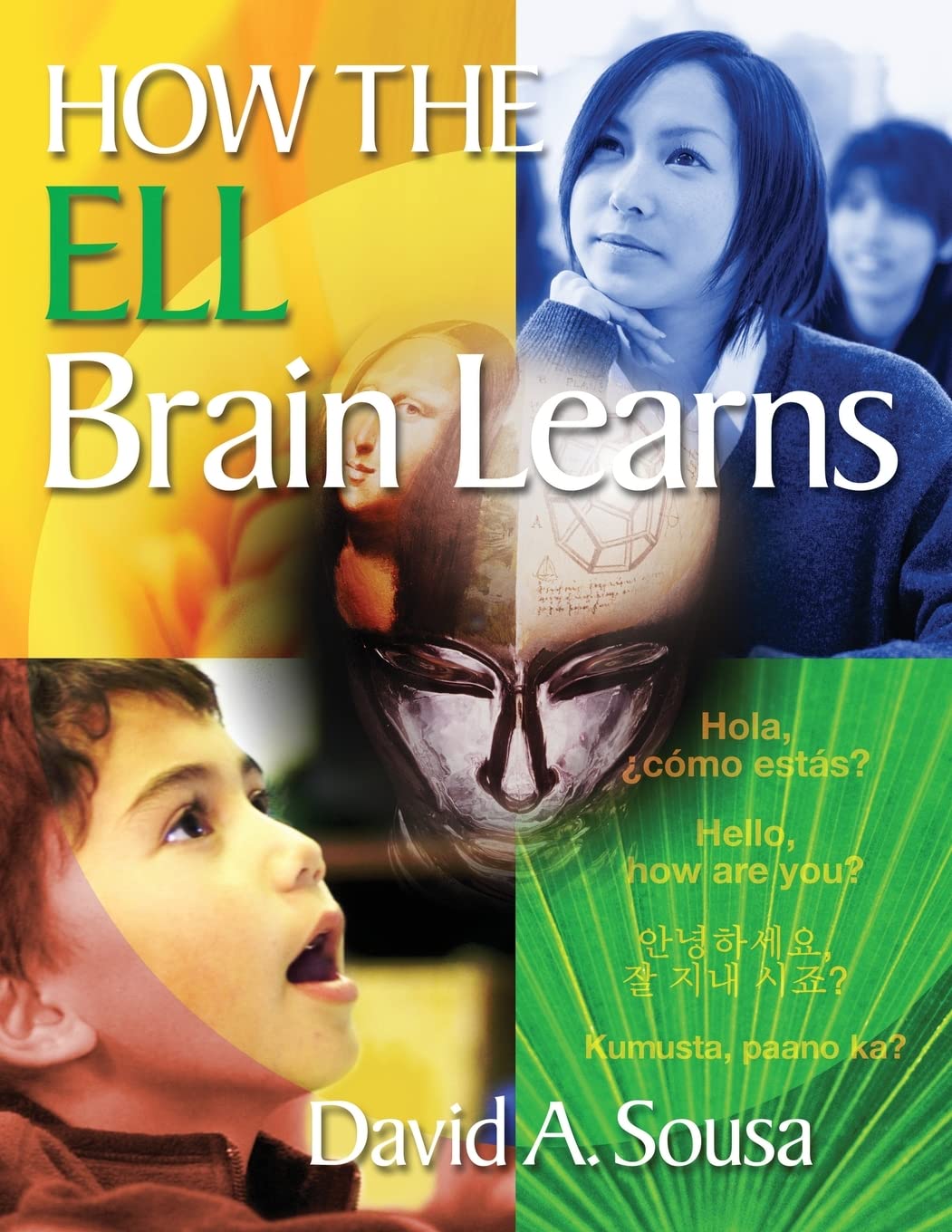 How The Ell Brain Learns