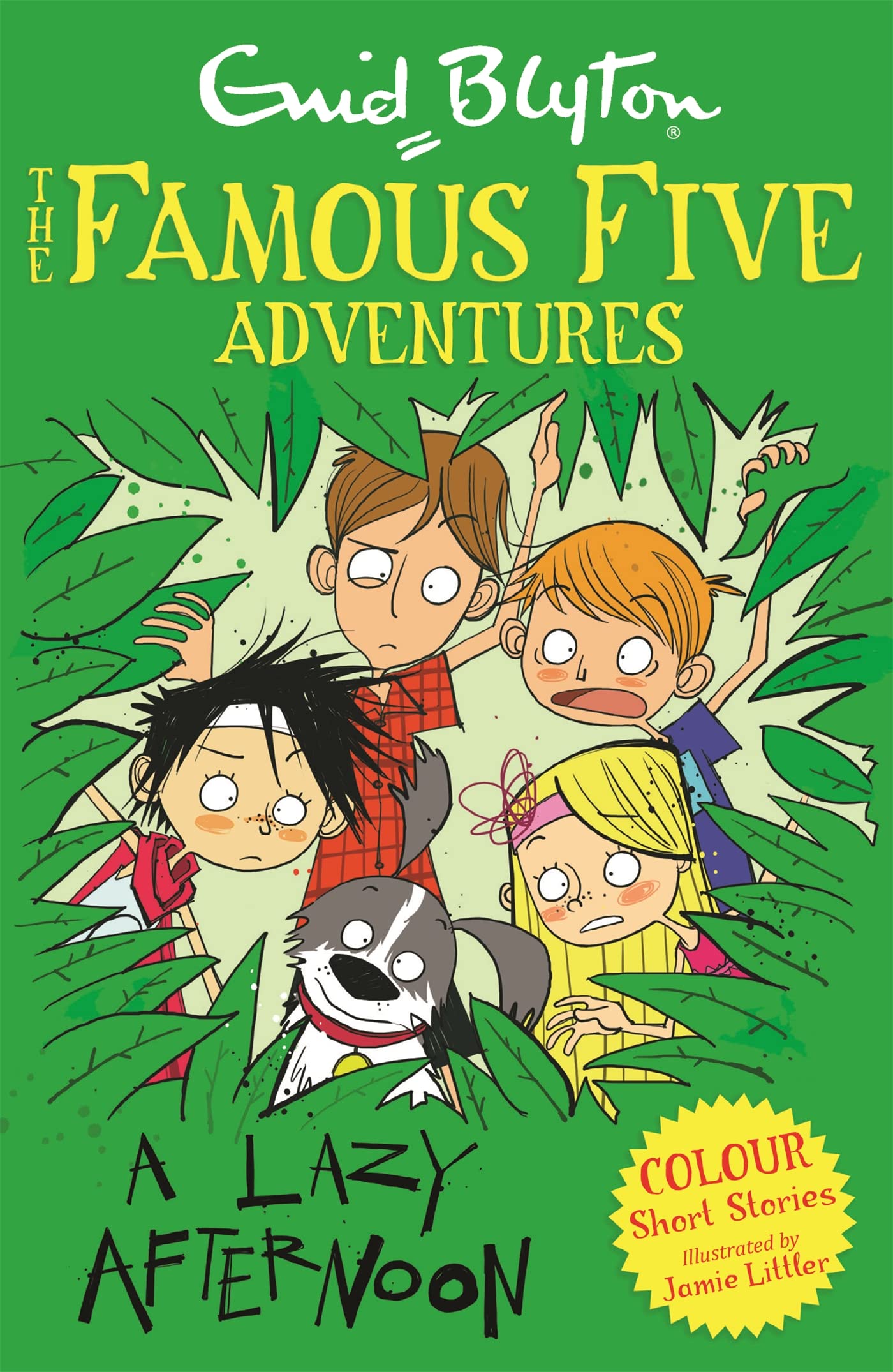 Famous Five Colour Short Stories: a Lazy Afternoon