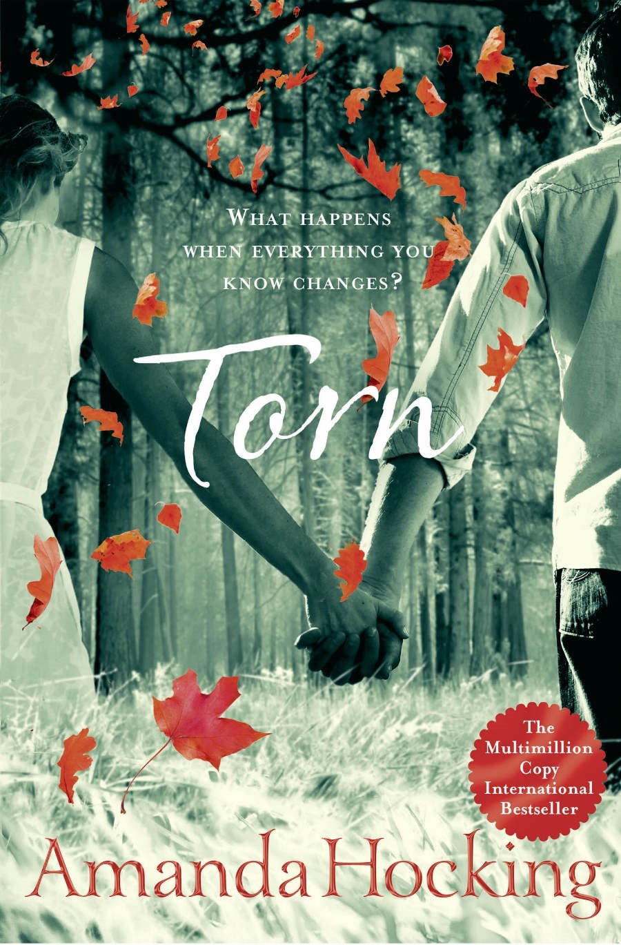 Torn: Book Two in The Trylle Trilogy