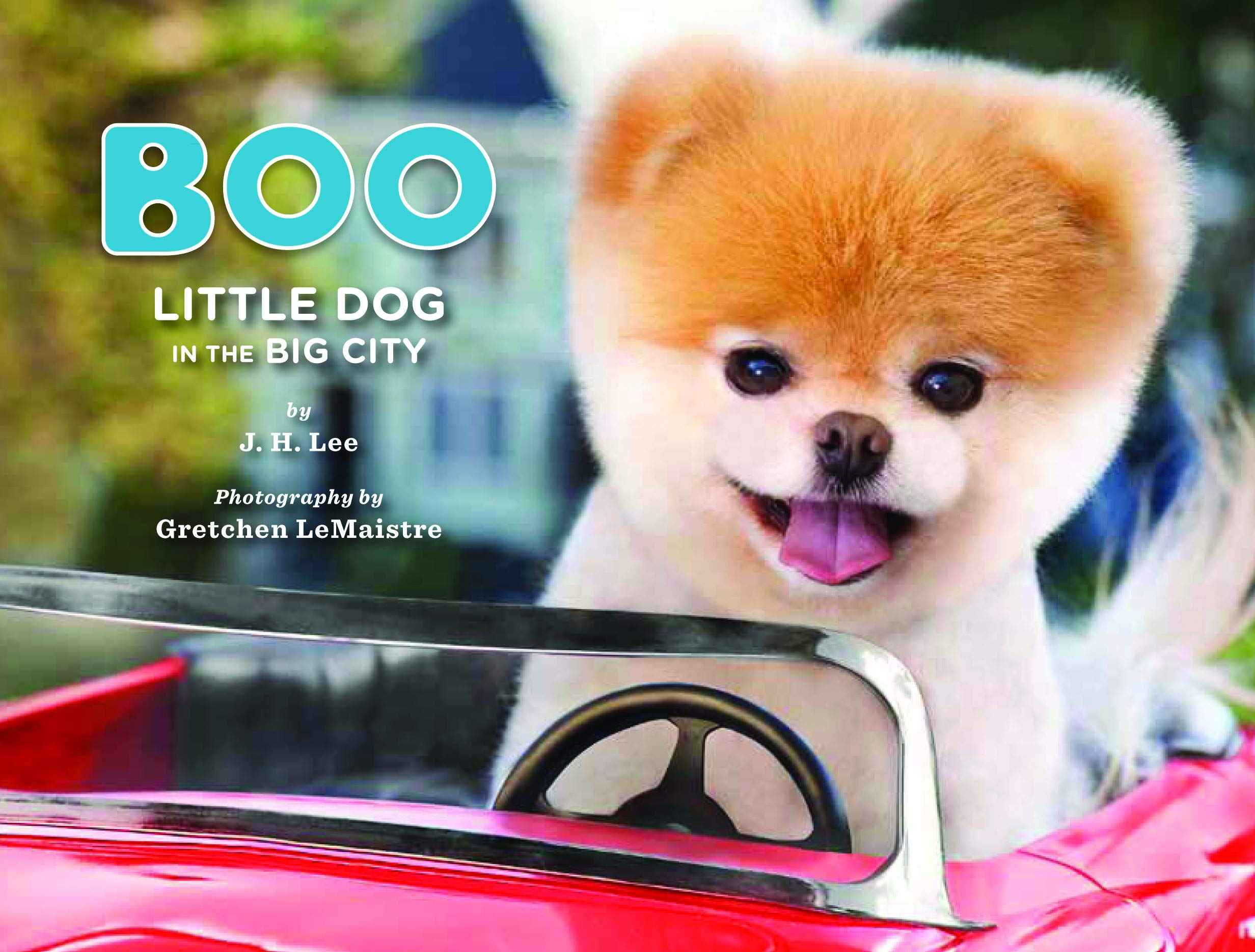 Boo: Little Dog in The Big City