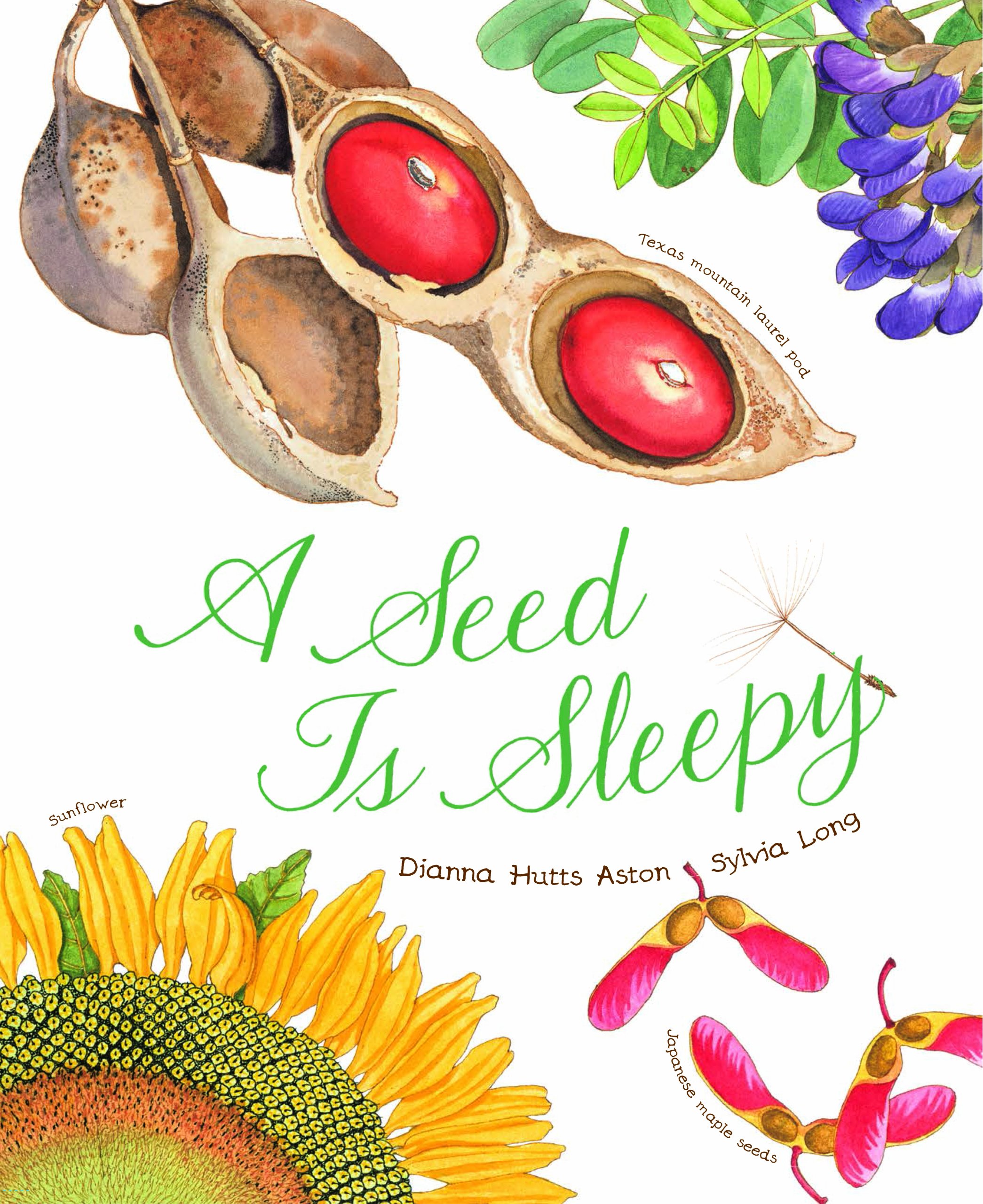 A Seed Is Sleepy: