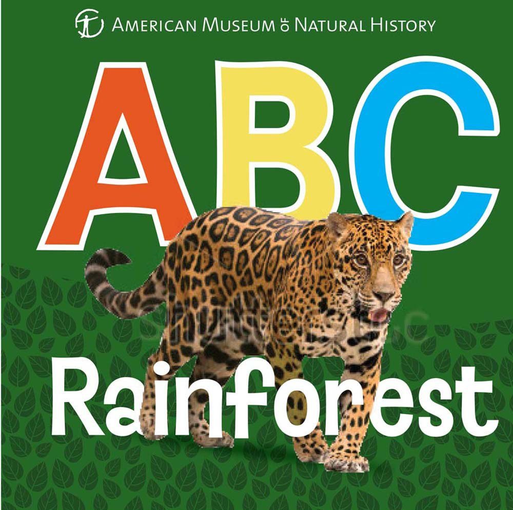 Abc Rainforest American Museum of Natural History