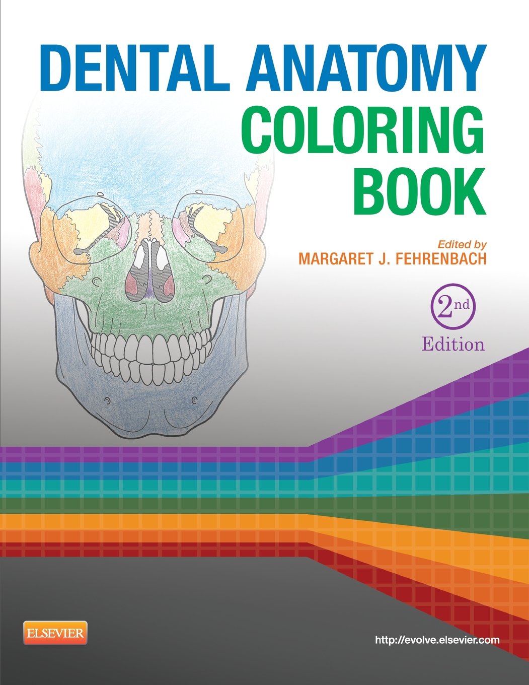 Dental Anatomy Coloring Book