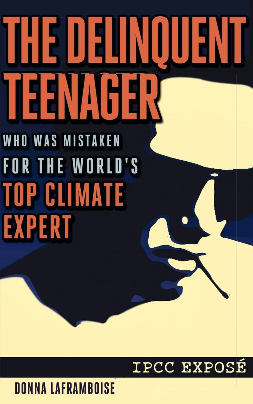 The Delinquent Teenager Who Was Mistaken for The Worlds Top Climate Expert